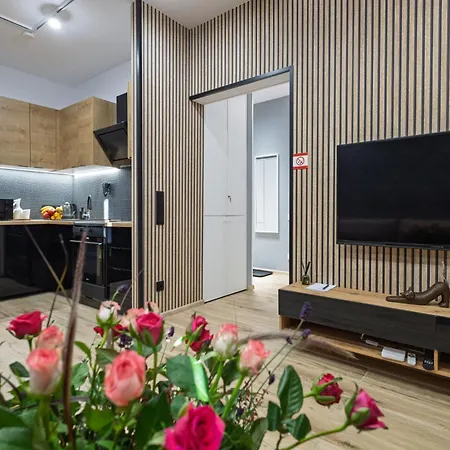 Pod Jasna Gora Teresy 4-2 Parking Gratis شقة تشينستوخوفا